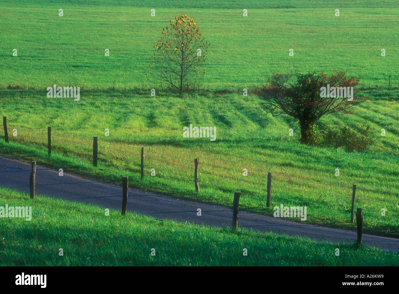 Loop Road e la recinzione in Cades Cove pascolo. Parco Nazionale di Great Smoky Mountains, Tennessee Foto Stock