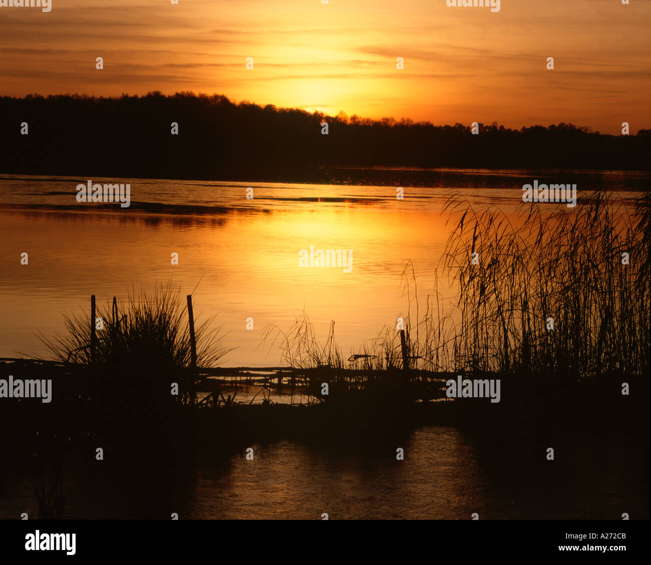 Tramonto a Frensham Ponds Surrey in Inghilterra UK Gran Bretagna Europa Regno Unito Foto Stock