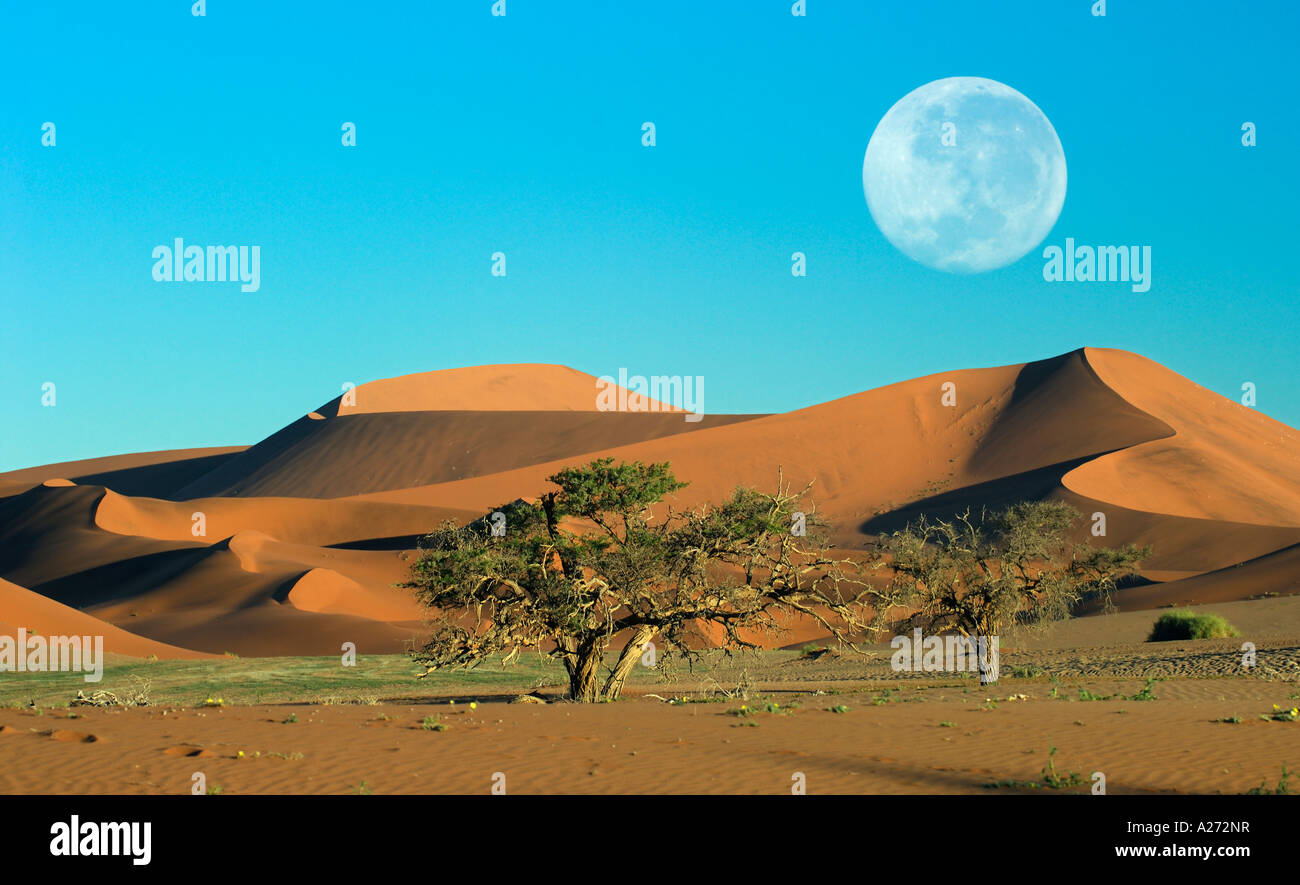 Deserto con la luna piena Namibdesert Namibia Afrika Foto Stock