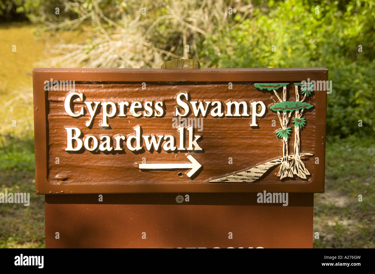 Florida Loxahatchee National Wildlife Refuge cypress swamp boardwalk Foto Stock