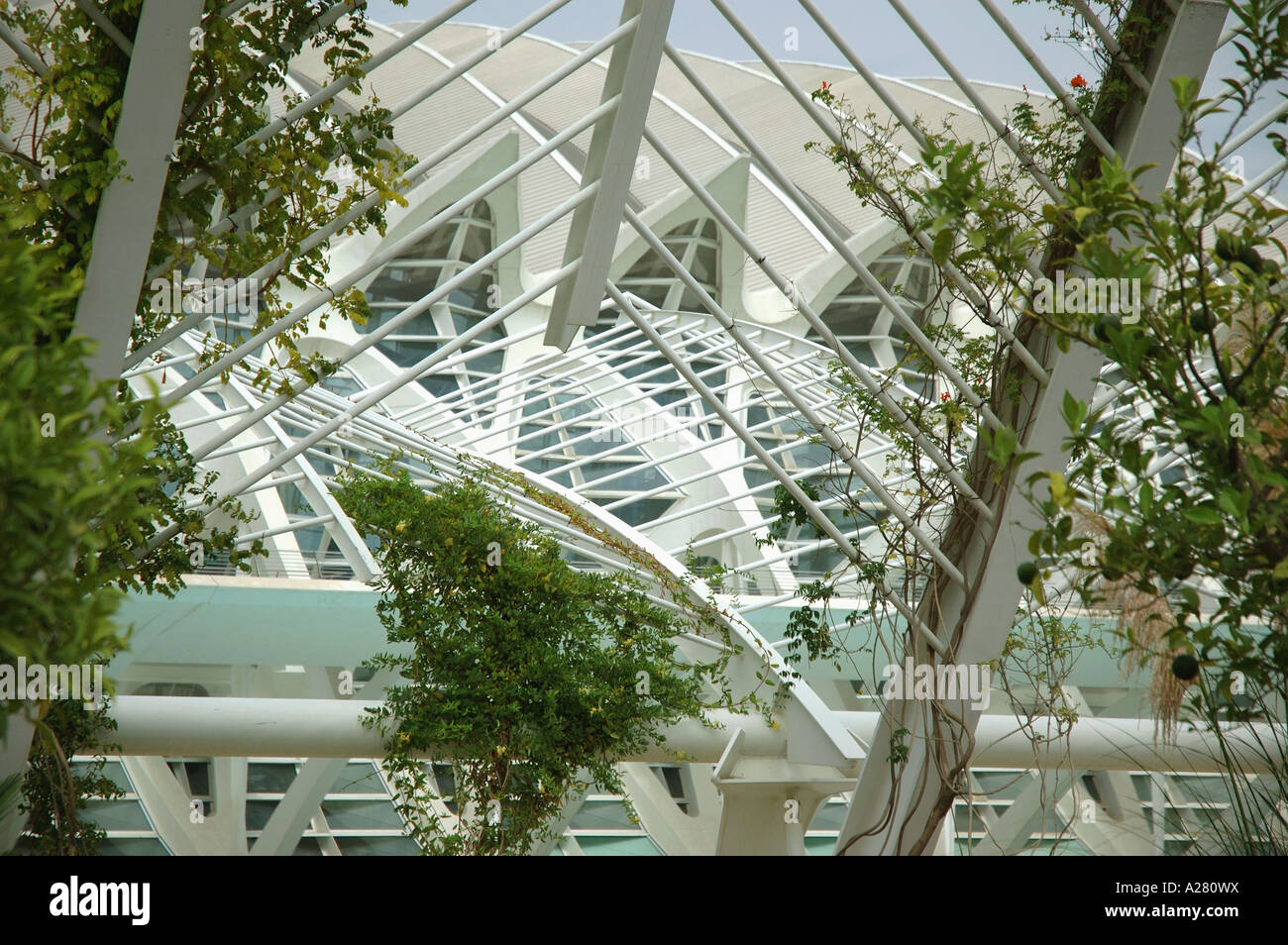 Città delle Arti e delle Scienze di Valencia Comunitat Comunidad Valenciana Costa del Azahar España Spagna spagnolo Iberia Europa europea Foto Stock