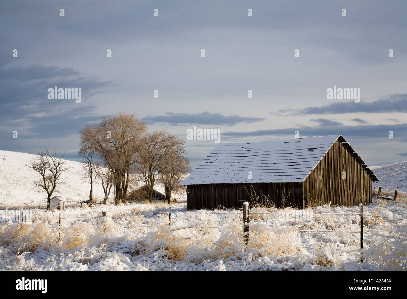 Old Homestead, pilota Rock Oregon Foto Stock