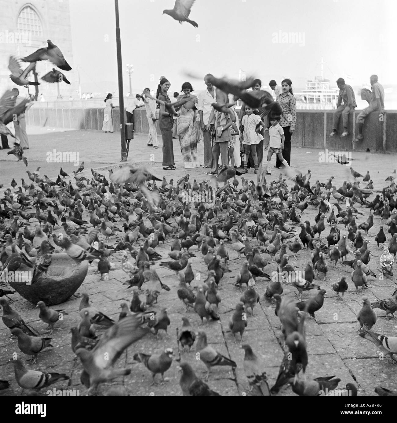 Persone alimentando gli uccelli la mattina presto su Marine Drive a Bombay Mumbai 1975 India - MAA 76590 Foto Stock