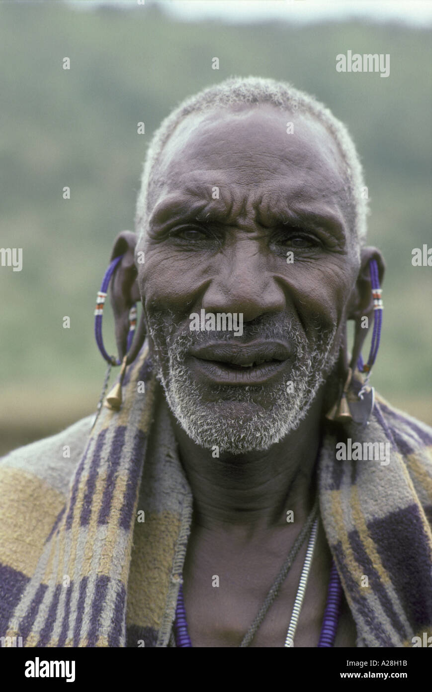 Ritratto di Maasai anziano o vecchio uomo Kenya Africa orientale Foto Stock