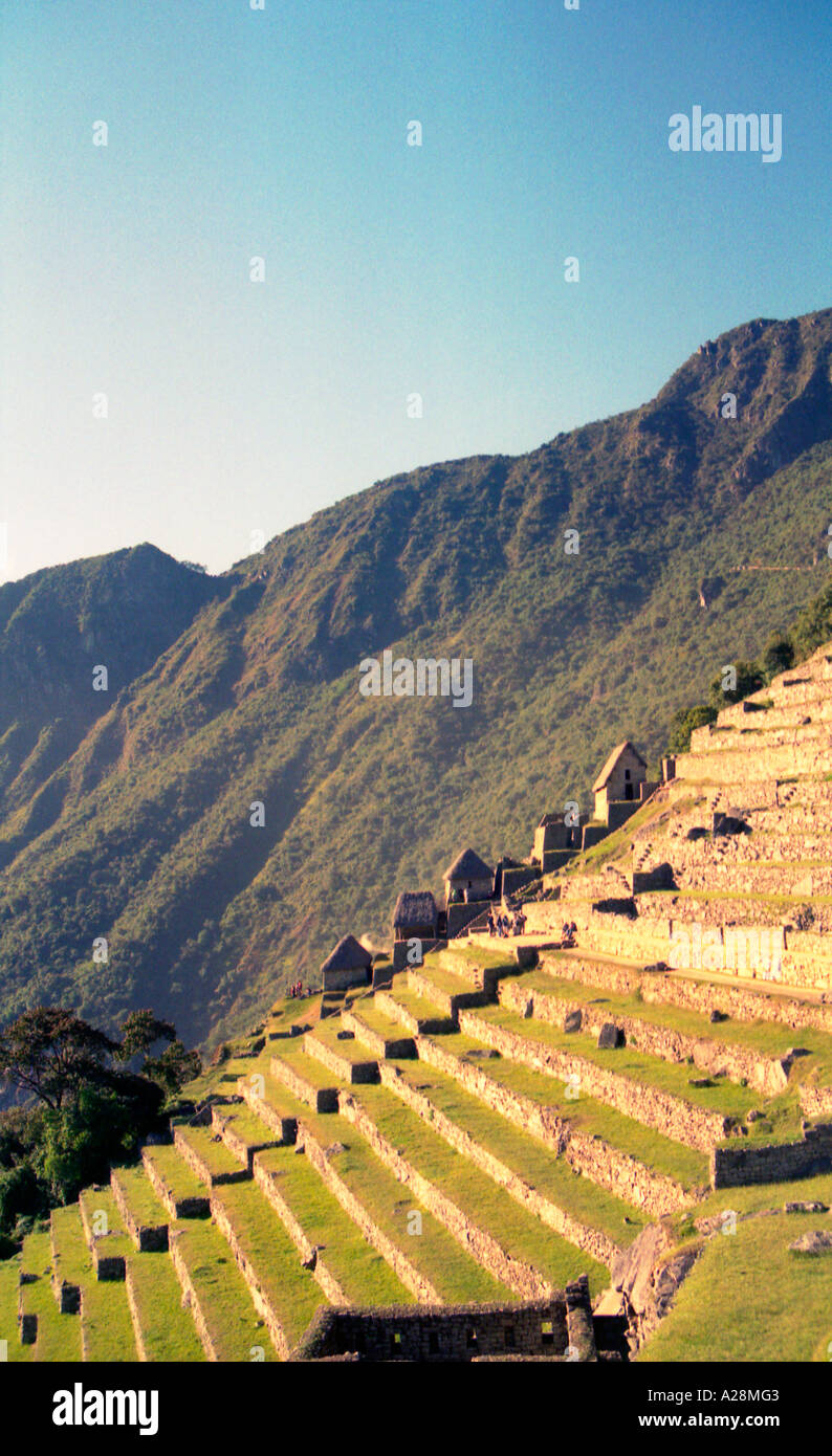 Machu Picchu, la Città perduta degli Incas, Sito Patrimonio Mondiale dell'UNESCO, Perù Foto Stock