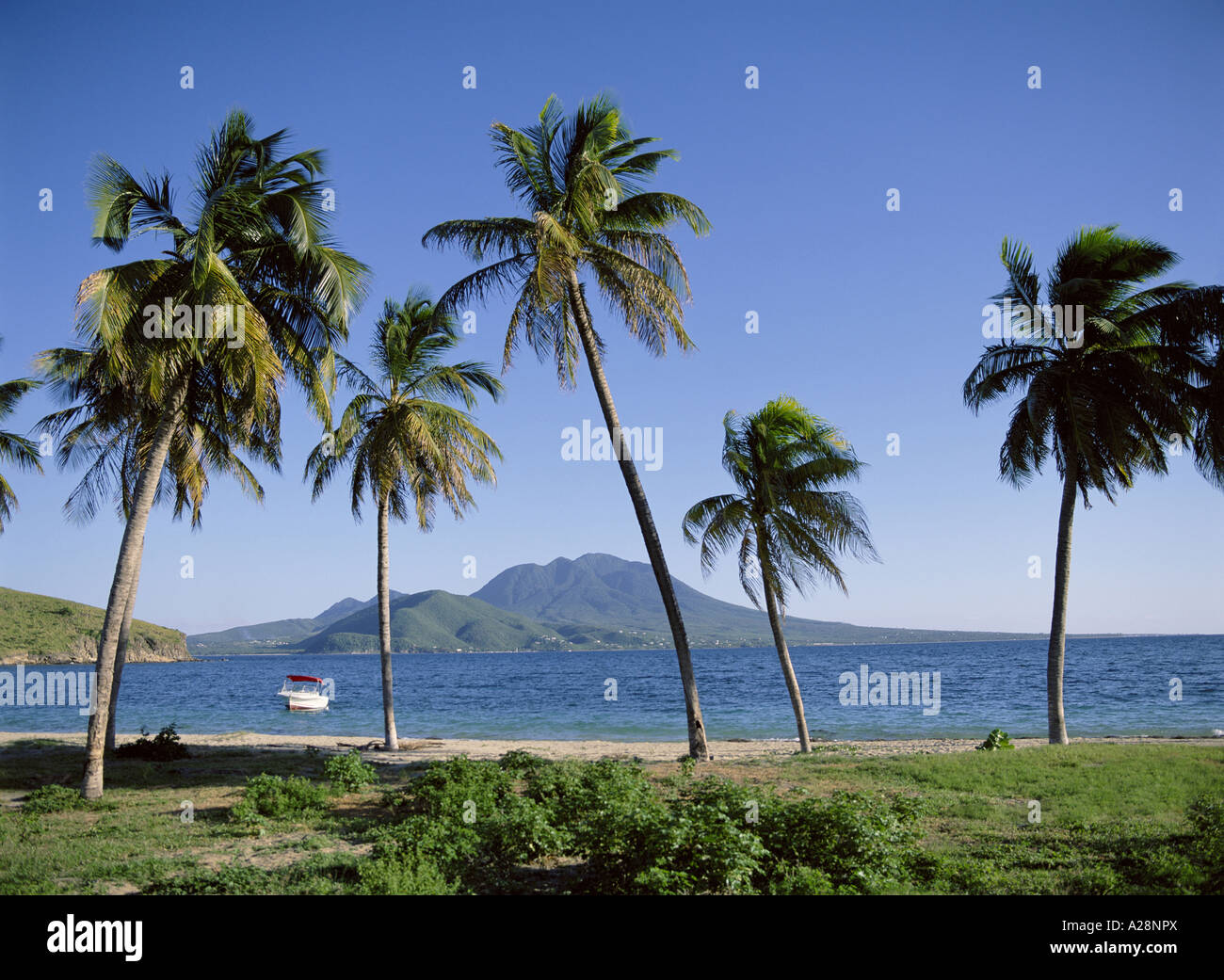 Banana Bay, St. Kitts, St. Kitts e Nevis, piccole Antille, Caraibi Foto Stock