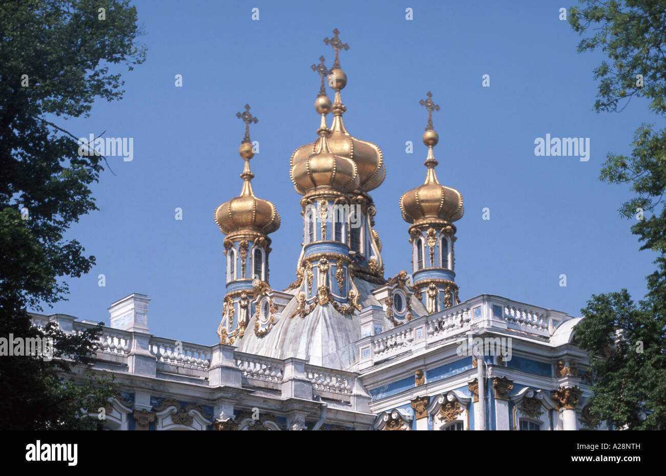 Palazzo di Caterina da giardini, Carskoe Selo, Pushkin, Federazione russa Foto Stock