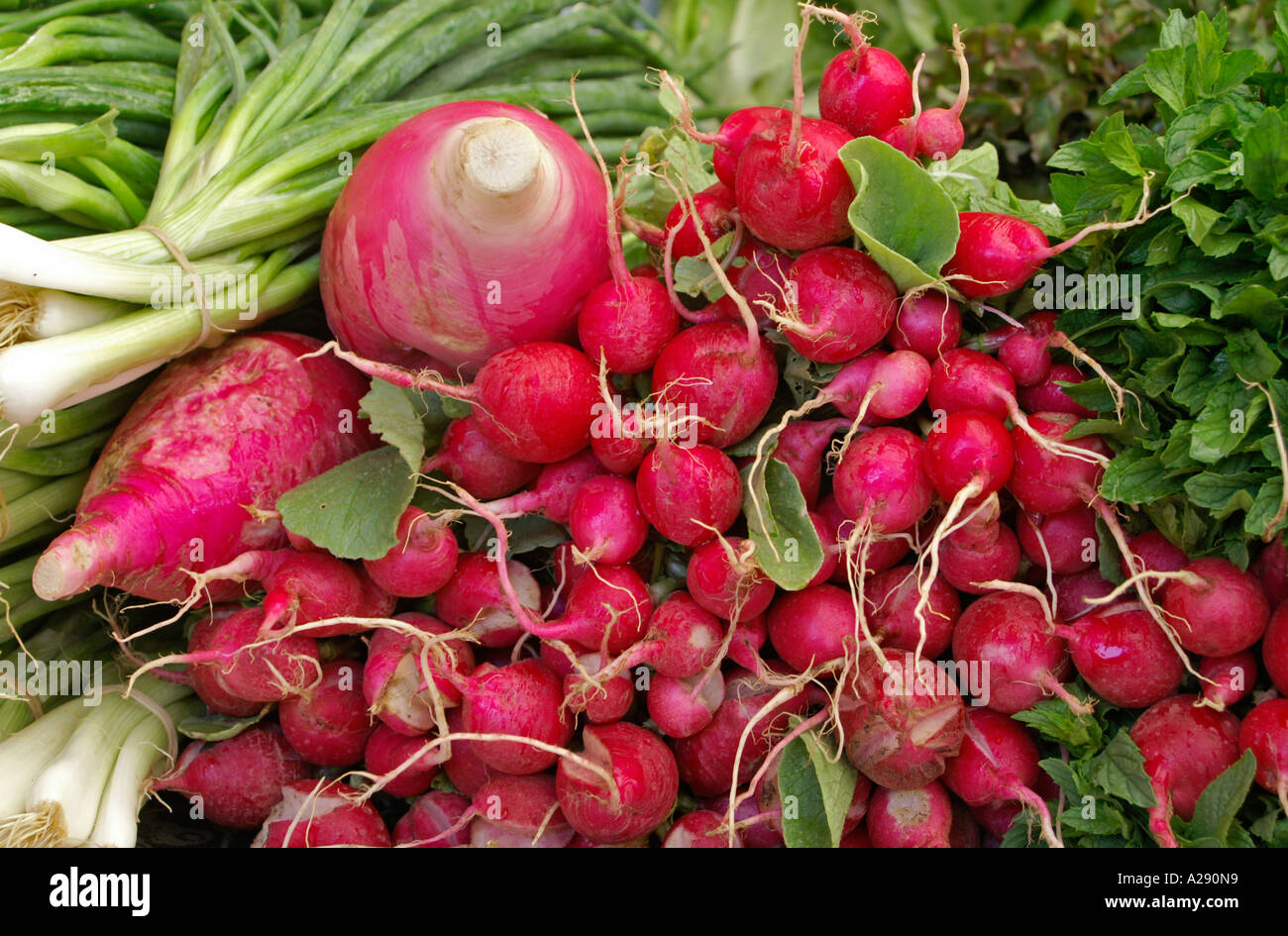 Il ravanello e altre insalate di verdure sul mercato in stallo Içmeler TURCHIA Foto Stock