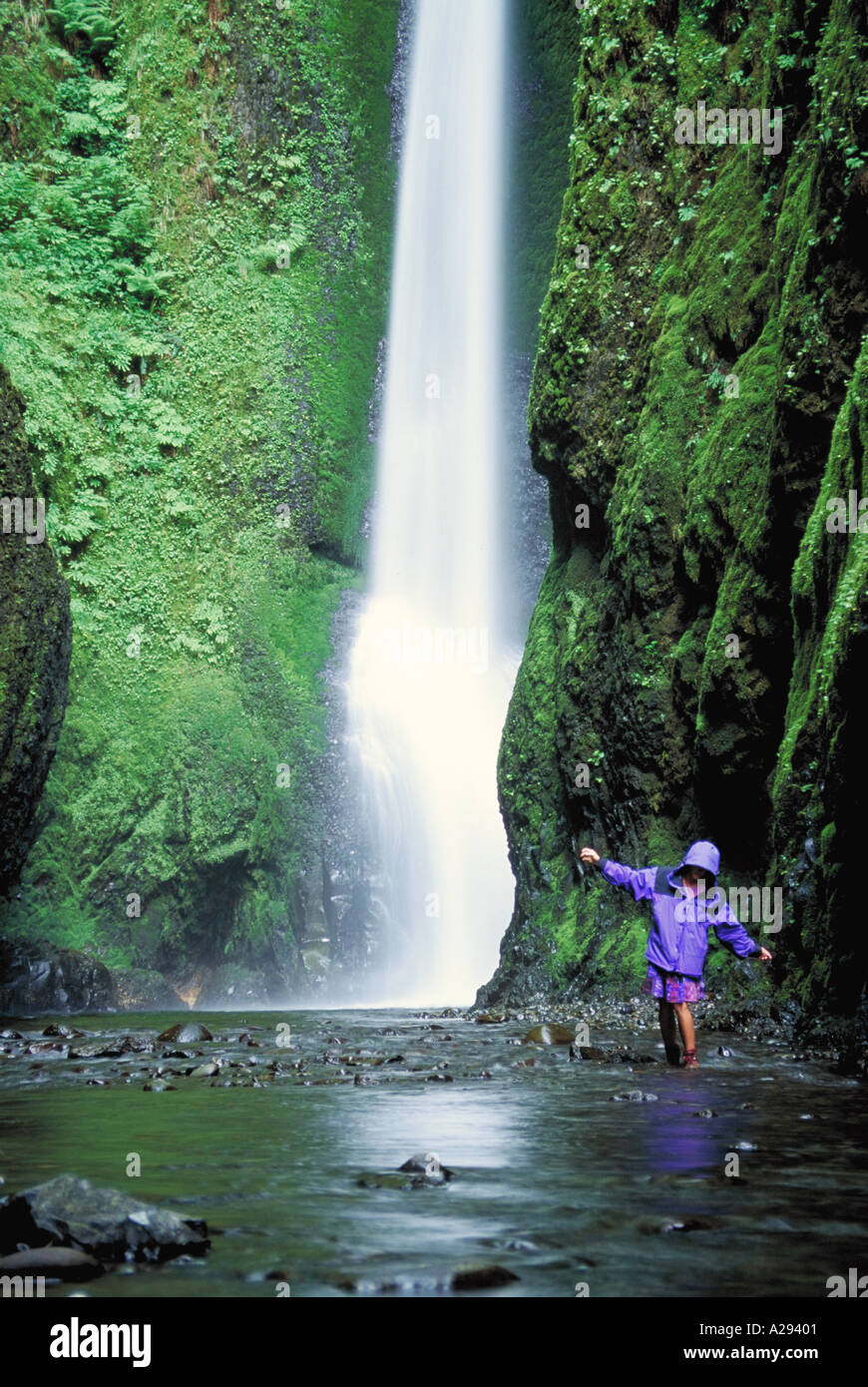 Una cascata invia spruzzare su di una persona in piedi in acqua a base di muschio coperto rocce Columbia River Gorge o Foto Stock