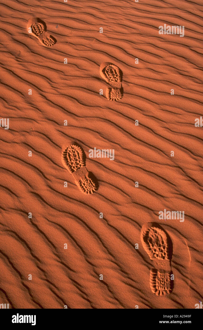 Orme nella sabbia ondulata su dune di Coral Pink Sand Dunes State Park nel sud dello Utah Foto Stock Orme nella sabbia ondulata su dune di Coral Pink Sand Dunes State Park nel sud dello Utah Foto Stock