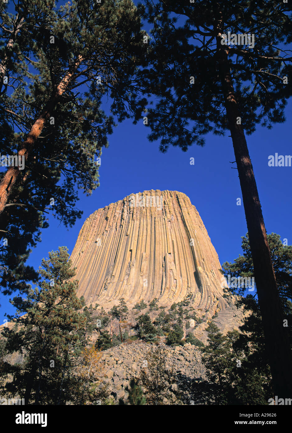 Devil's Tower, Hulett, Wyoming USA Foto Stock