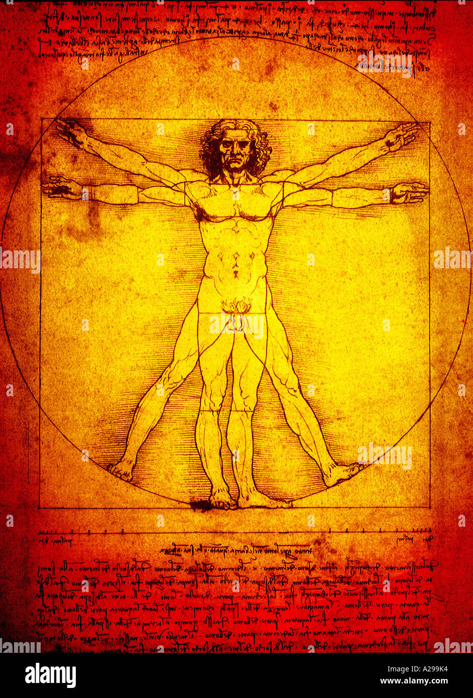 L'uomo vitruviano schizzo di Leonardo da Vinci in tono dorato Foto Stock