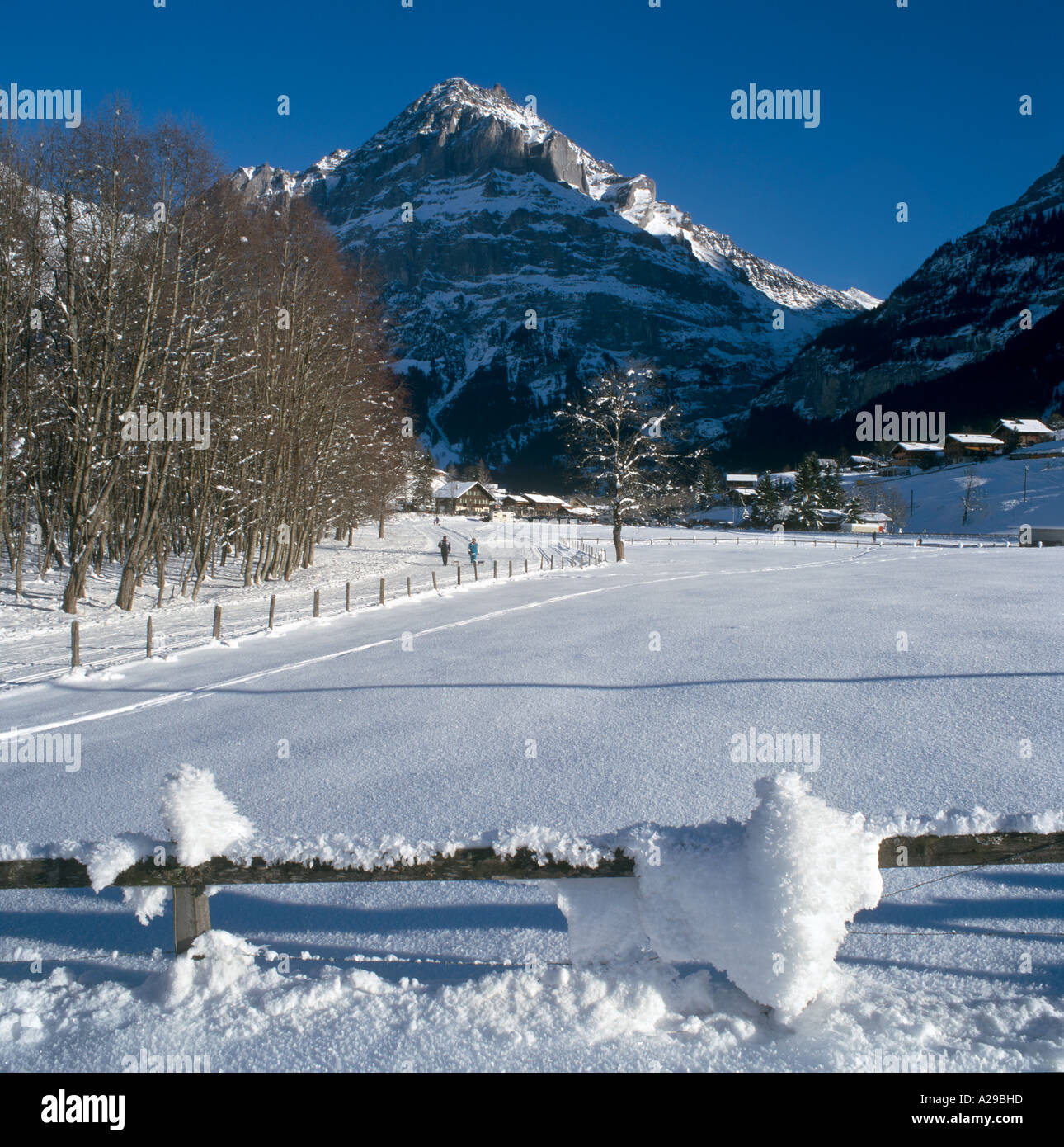 Resort e cross country sk trail, Grindelwald, alpi svizzere, Svizzera Foto Stock