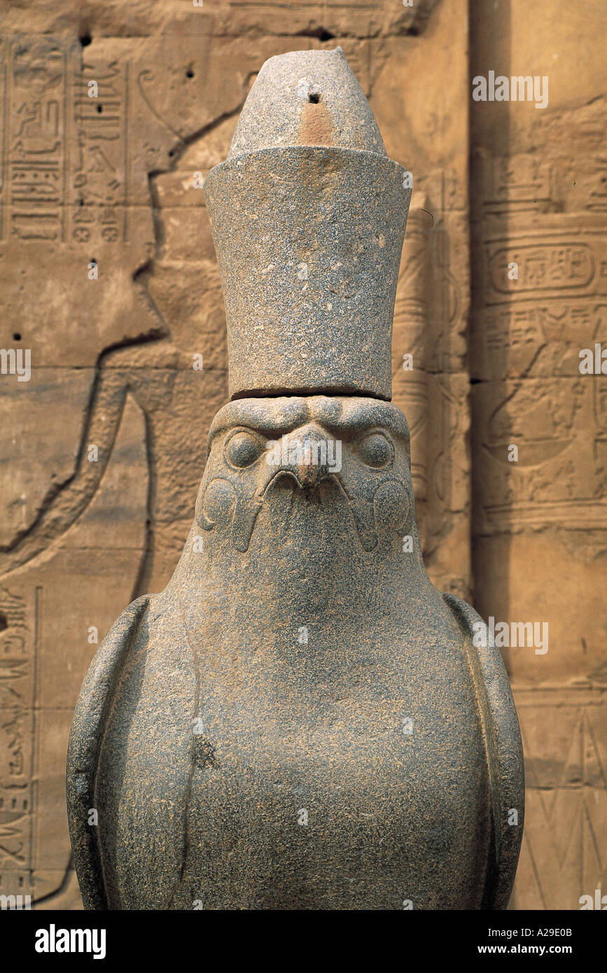 Il Tempio di Edfu Horus statua Egitto Africa Grandadam S Foto Stock