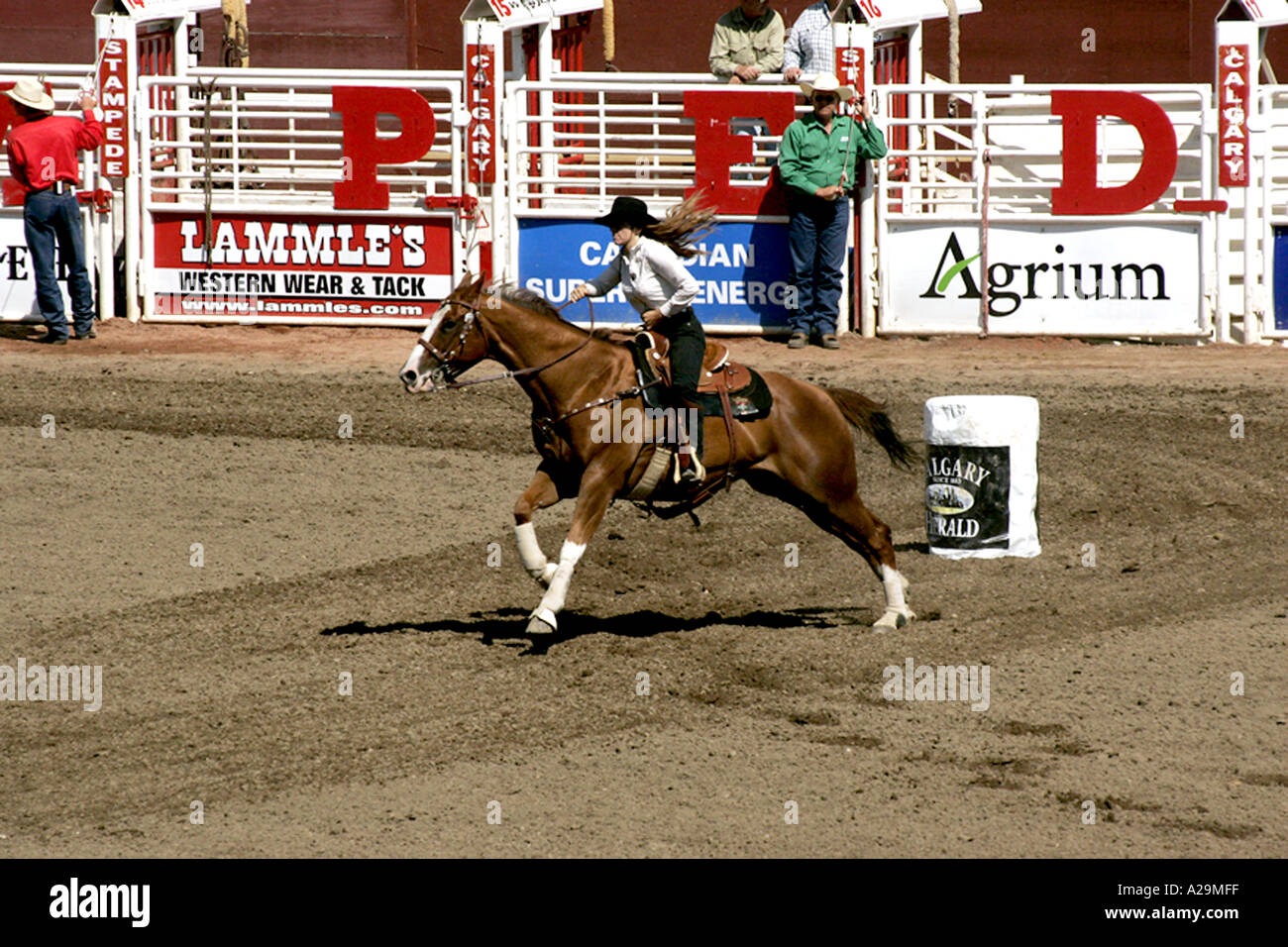 Rodeo Barrel Racer Foto Stock