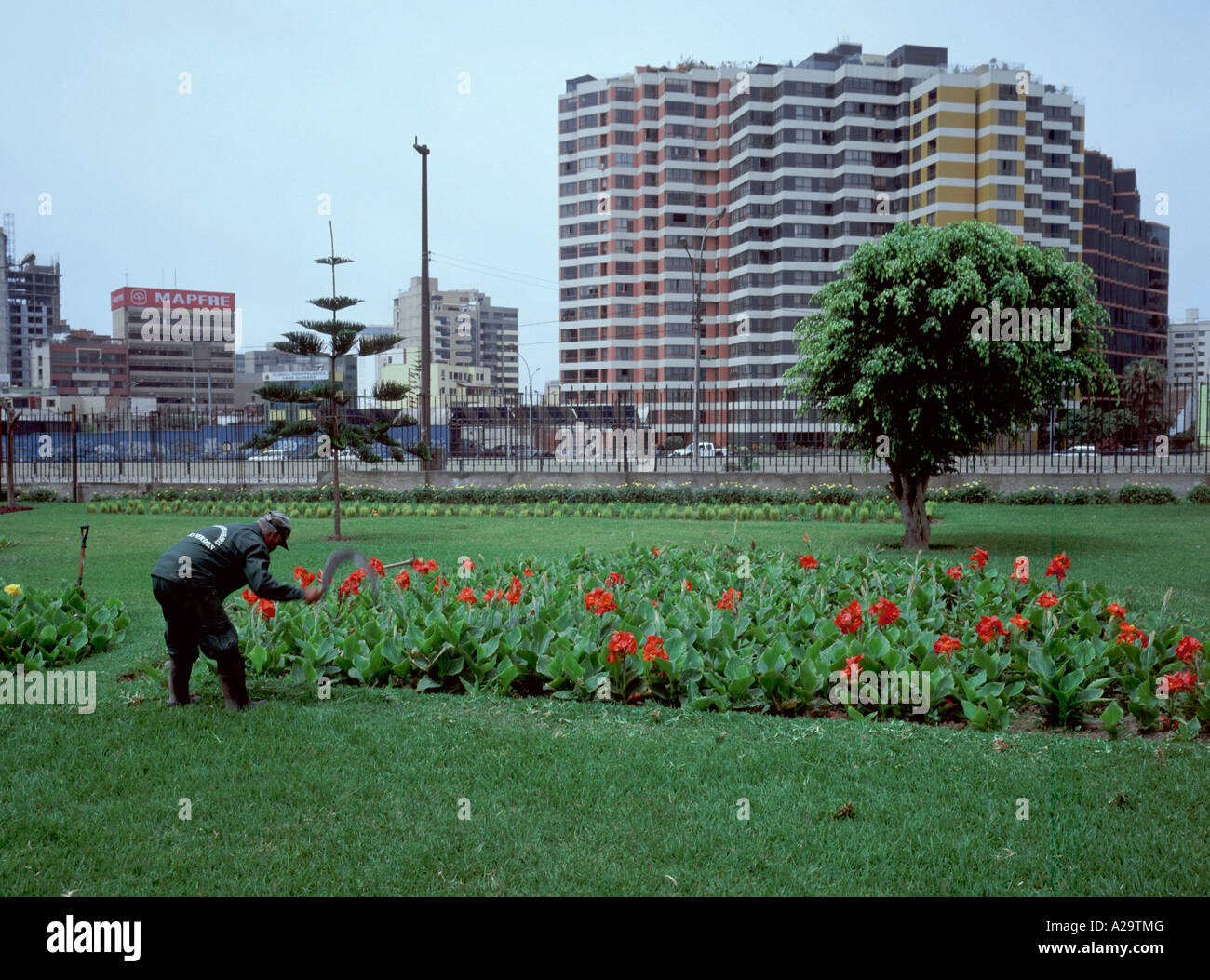 Un comune giardiniere in una delle molte aree verdi in Lima del quartiere di Miraflores Peru Foto Stock