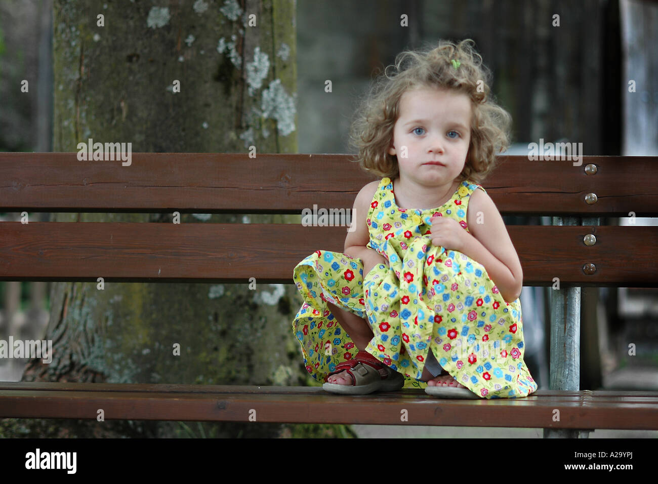 Carino ragazza seduta da sola su un banco di marrone in un parco pubblico. Foto Stock