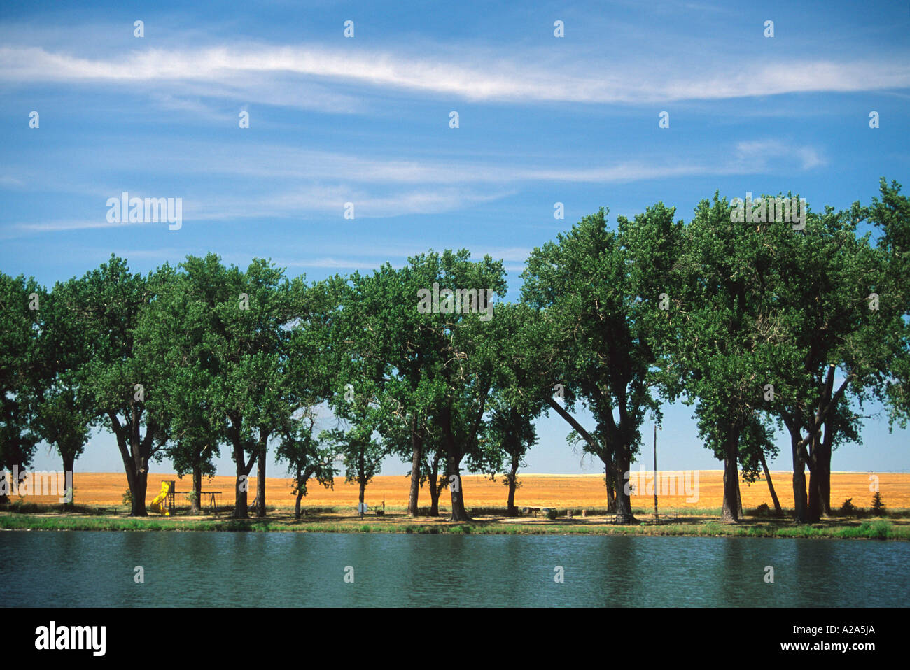 Linea di alberi lungo l'acqua al mulino campione stato storico parco nel campione, Nebraska. Foto Stock