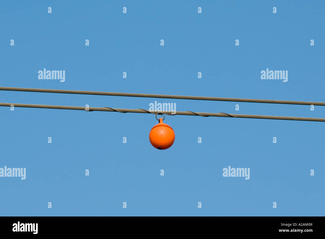 Bird Scarer sui conduttori di elettricità nei pressi di Barton bloccare sul fiume Nene Foto Stock