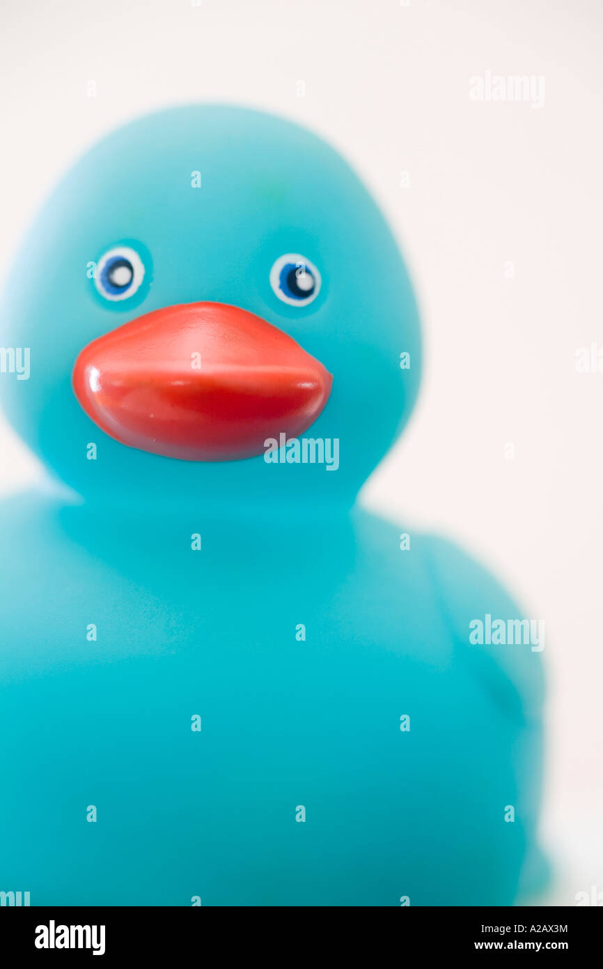Un blu anatra di gomma Foto Stock