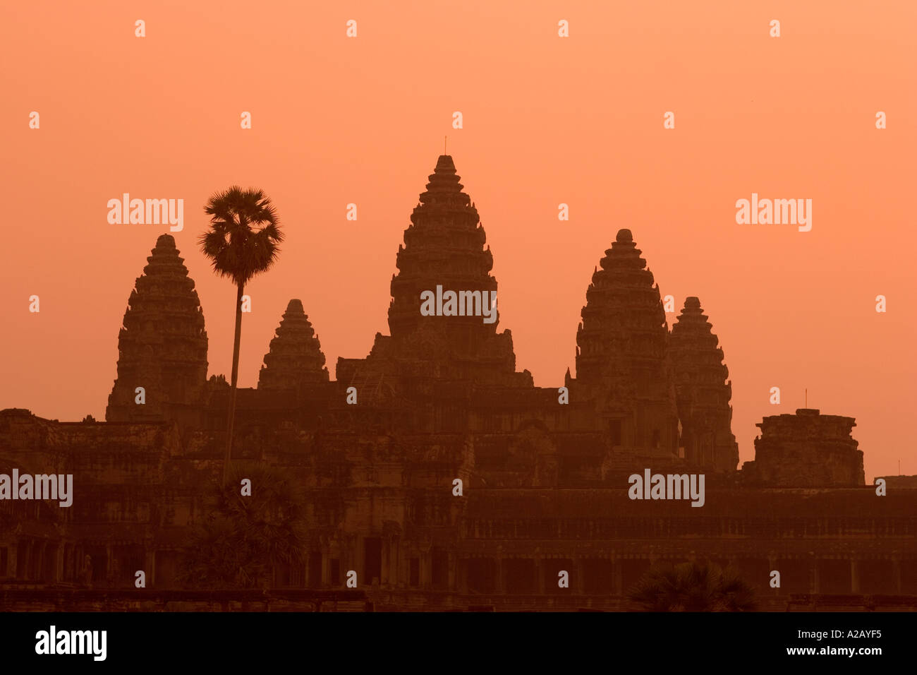 Cambogia Siem Reap Angkor Wat all'alba prima del sorgere del sole torri del tempio principale Foto Stock