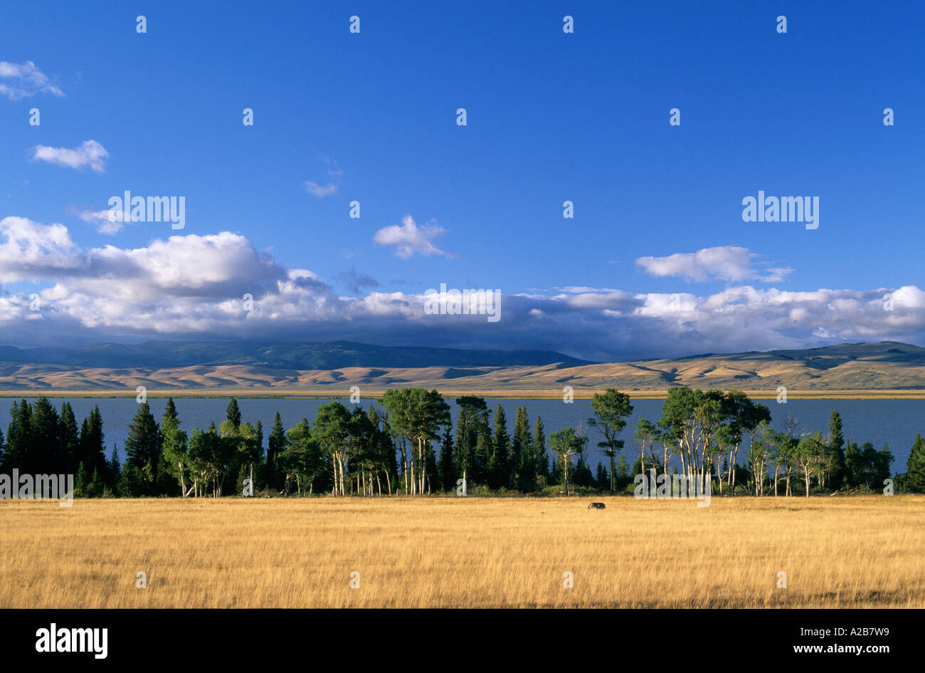 Stati Uniti Montana Red Rock laghi rosso superiore Rock Lake National Wildlife Refuge Foto Stock