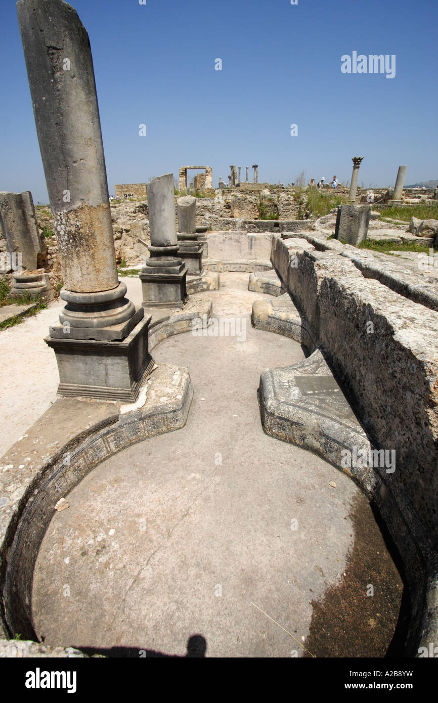 Il frantoio della Casa di Orfeo, Volubilis, Marocco Foto Stock