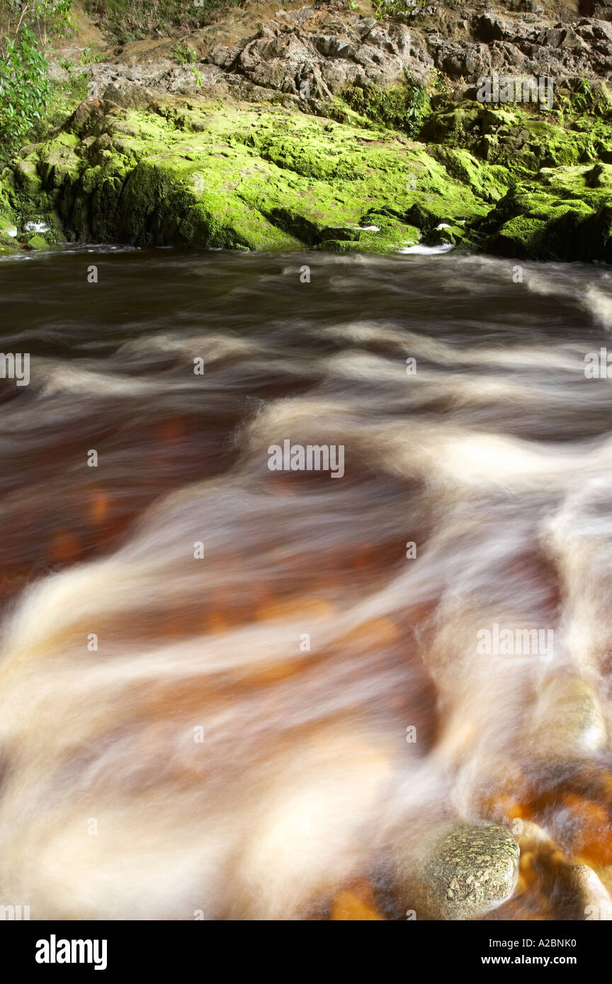 Fiume Oparara bacino Oparara vicino a Karamea Kahurangi National Park West Coast Isola del Sud della Nuova Zelanda Foto Stock