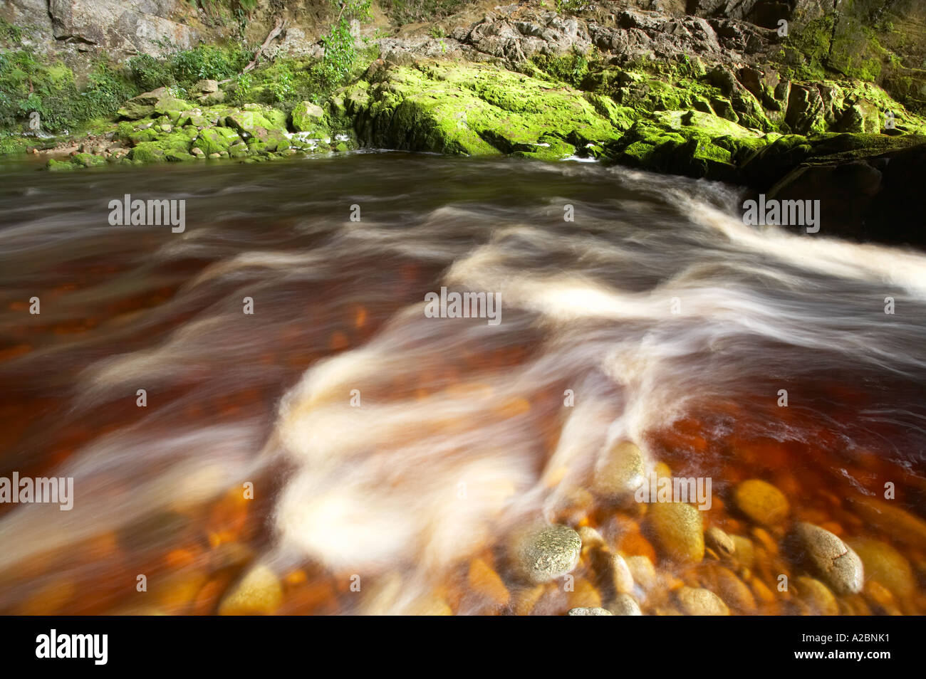 Fiume Oparara bacino Oparara vicino a Karamea Kahurangi National Park West Coast Isola del Sud della Nuova Zelanda Foto Stock