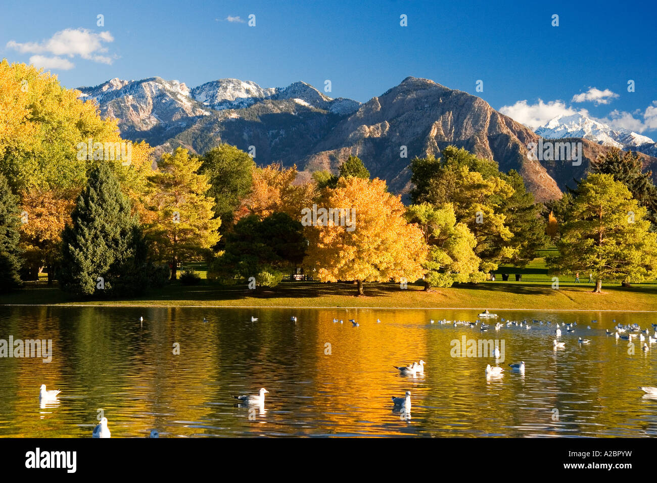 Mt. Olympus e le Montagne Wasatch dal Parco Sugarhouse in Salt Lake City Utah Foto Stock