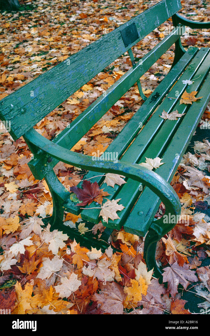 Un parco verde da banco e foglie di autunno a Wells Somerset Foto Stock
