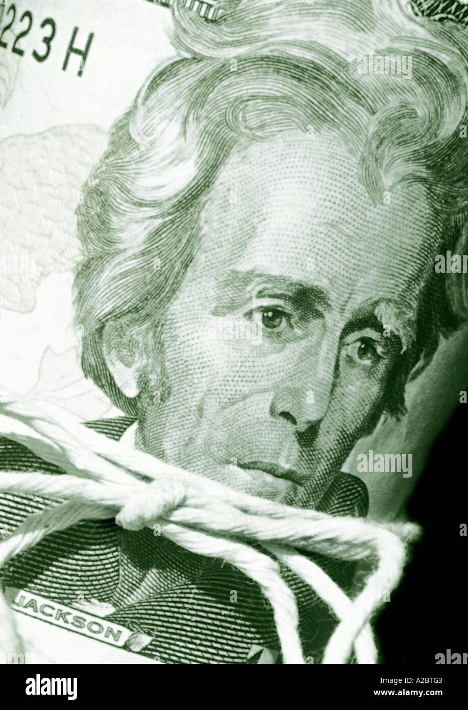 Banconota da venti dollari legata e arrotolata con la corda. Ritratto di Andrew Jackson. Valuta degli Stati Uniti. STATI UNITI Foto Stock