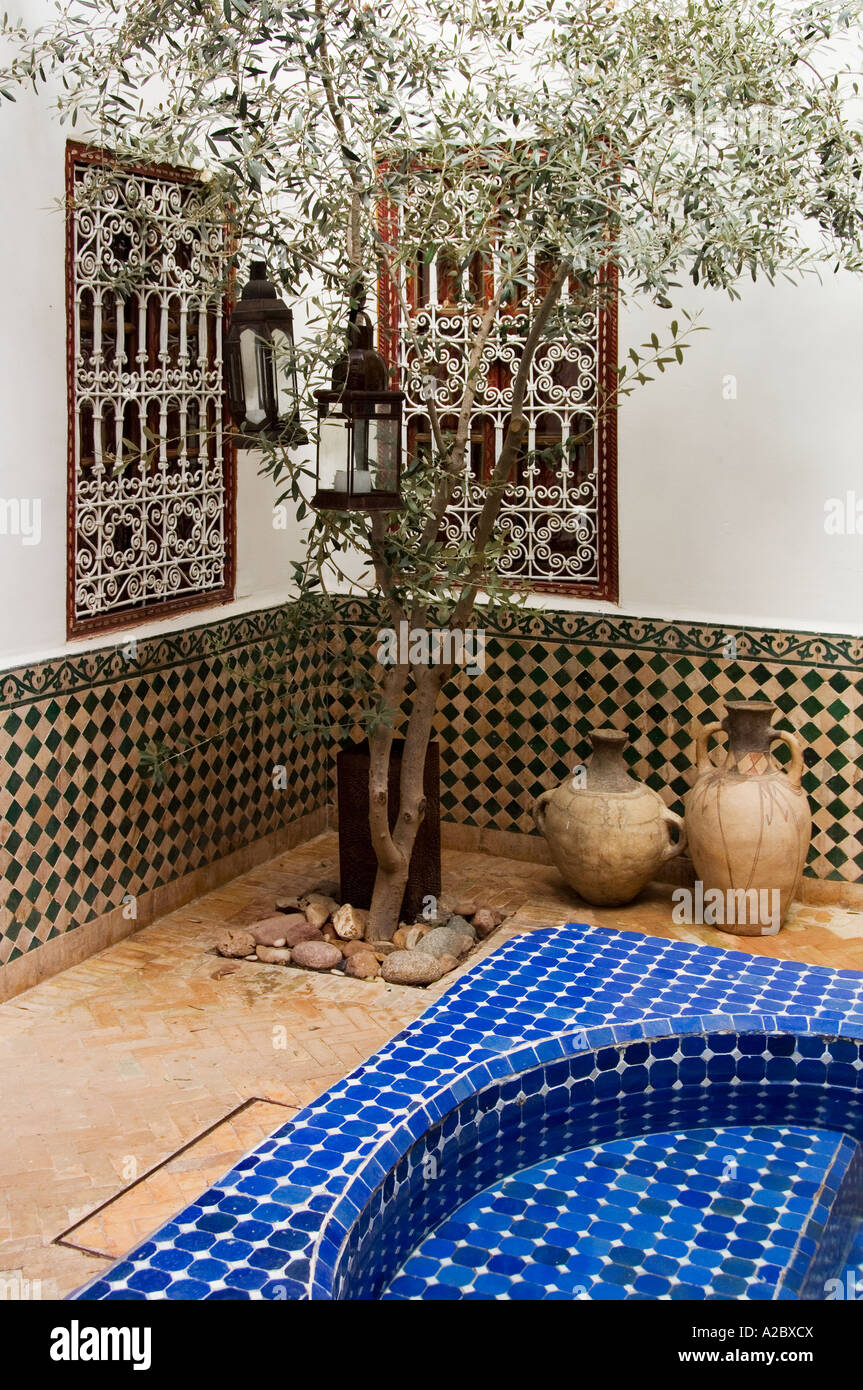 Albero di olivo display nel cortile di Terrasse des Oliviers tradizionali restaurate guesthouse Marrakech marocco Foto Stock
