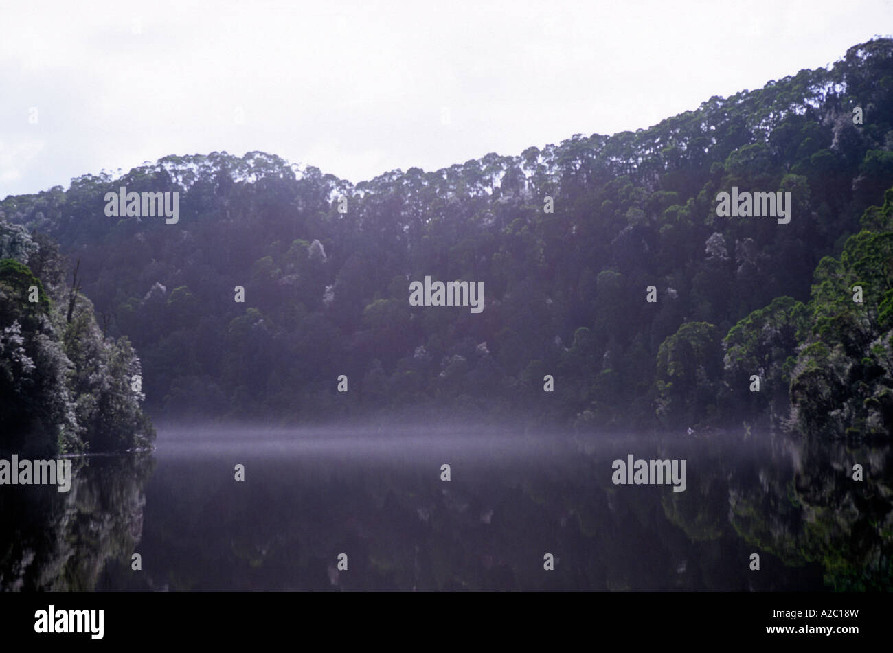 Early Morning mist sul fiume Gordon, vicino Strahan, la Tasmania. Foto Stock