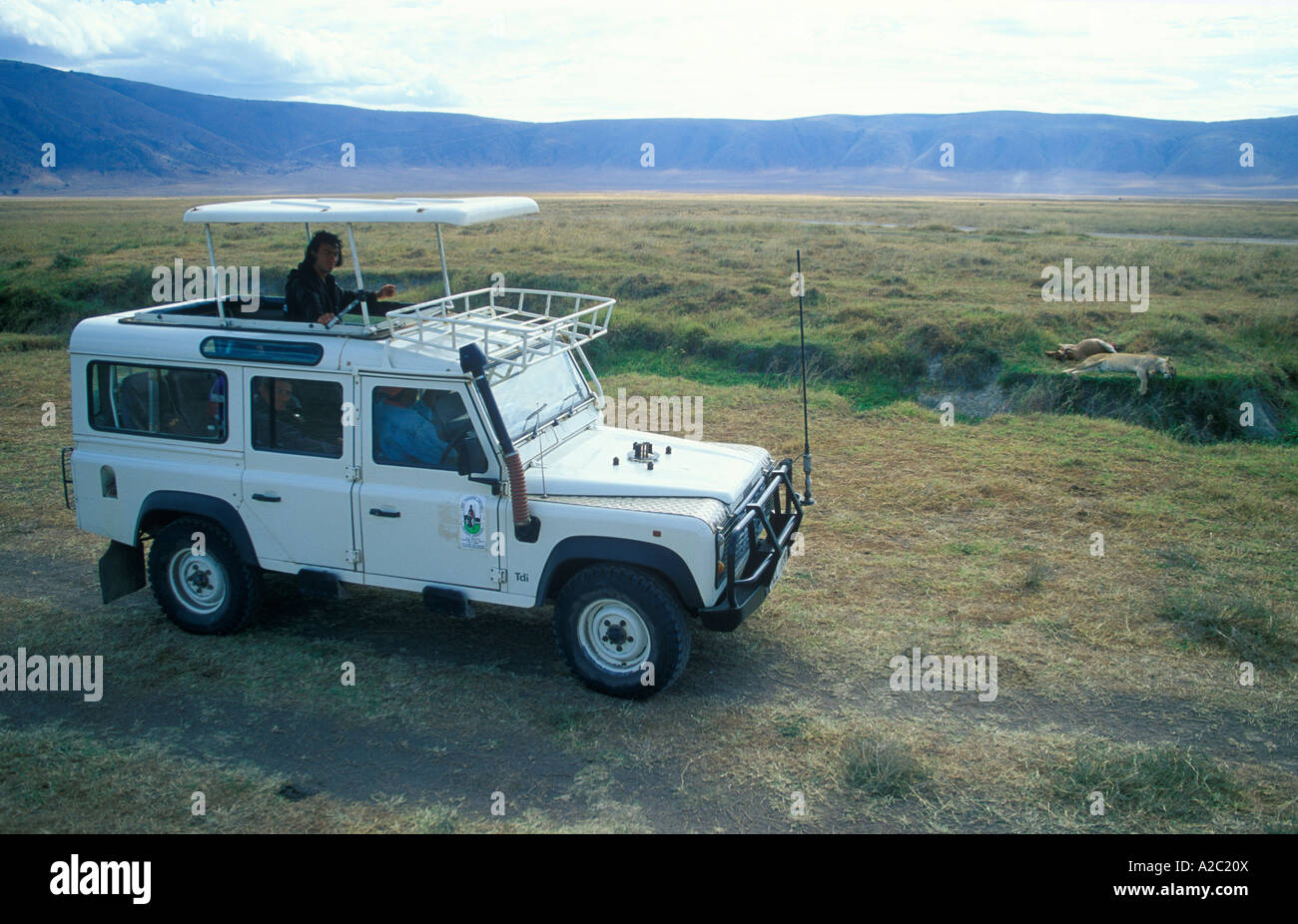 I turisti in un jeep safari guardando una leonessa (Panthera leo) resto accanto a lei in preda al cratere di Ngorongoro in Tanzania in Africa Foto Stock I turisti in un jeep safari guardando una leonessa (Panthera leo) resto accanto a lei in preda al cratere di Ngorongoro in Tanzania in Africa Foto Stock