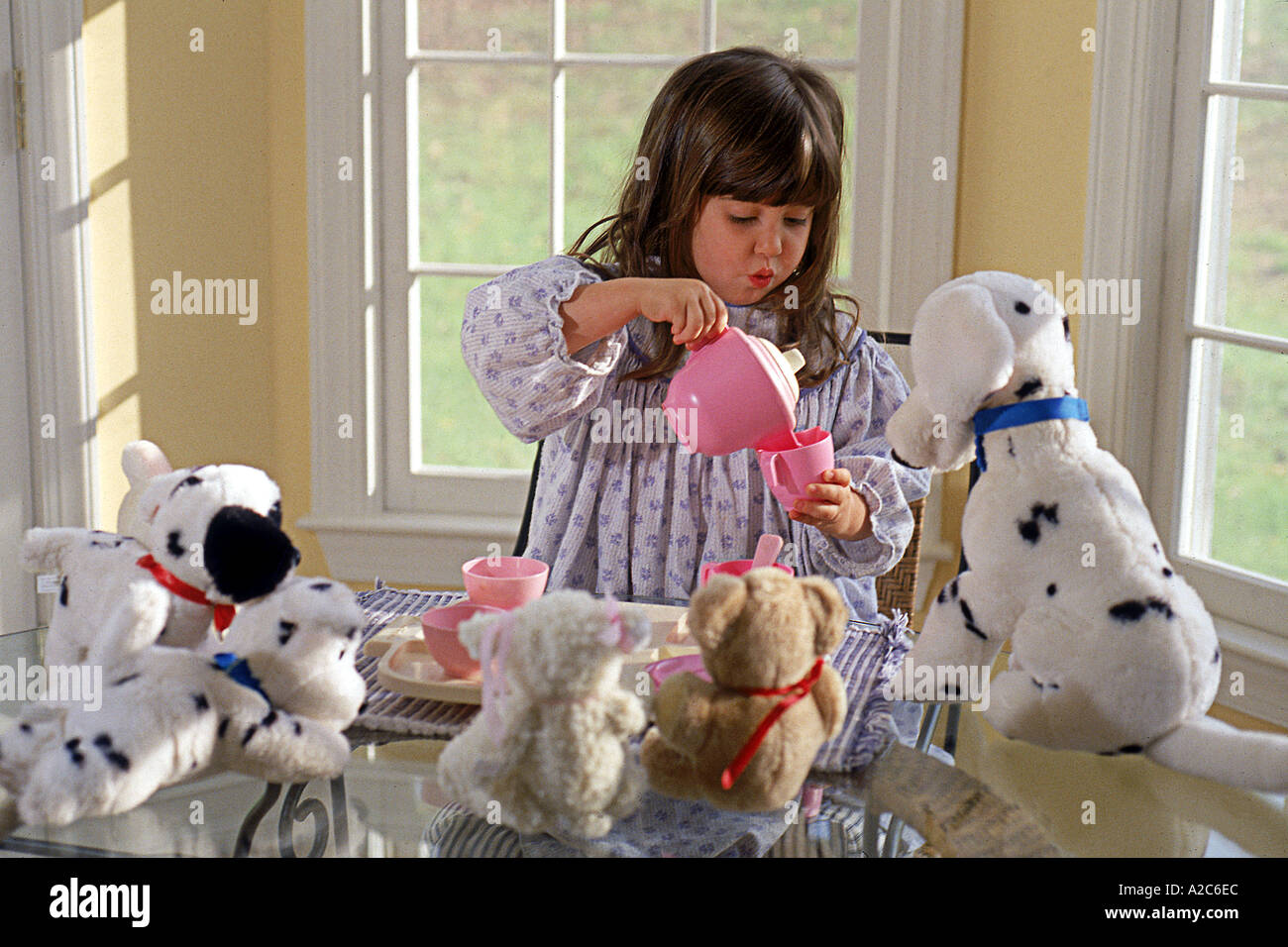 Inquadratura orizzontale del giovane ragazza giocando fare credere tea party con i suoi animali imbalsamati Foto Stock