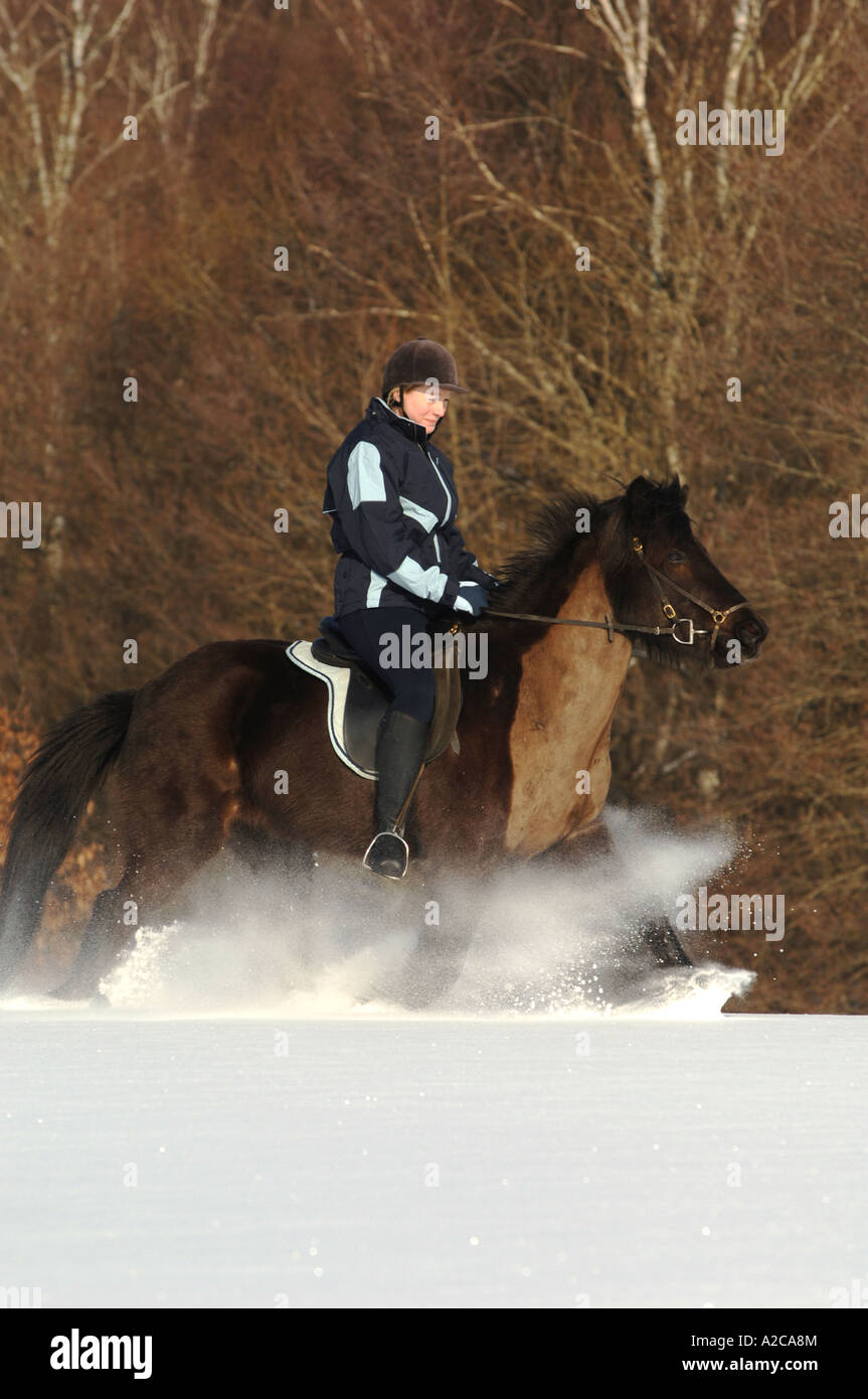Ragazza a cavallo nella neve in una giornata di sole Foto Stock