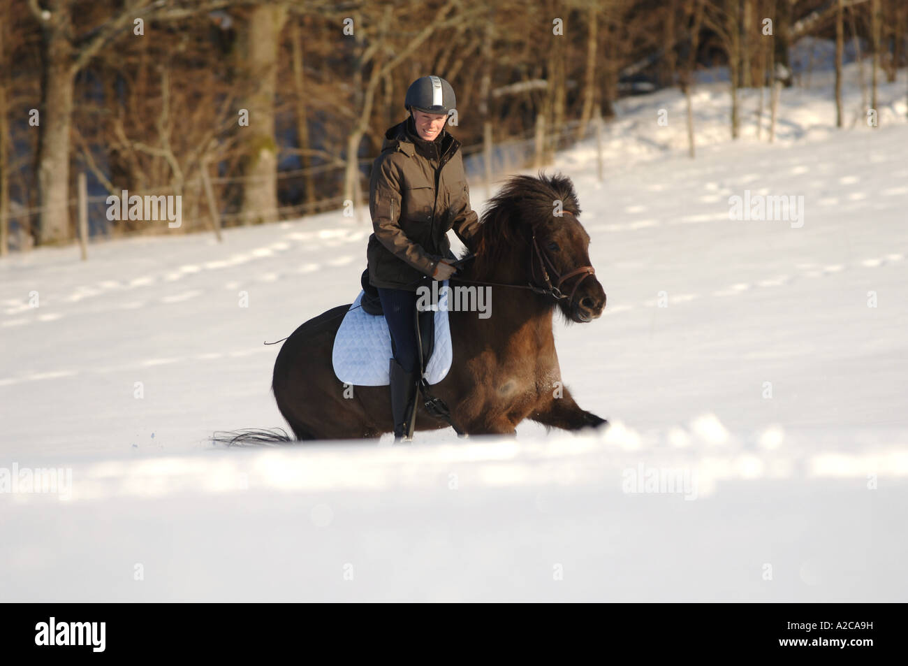 Ragazza a cavallo nella neve in una giornata di sole Foto Stock
