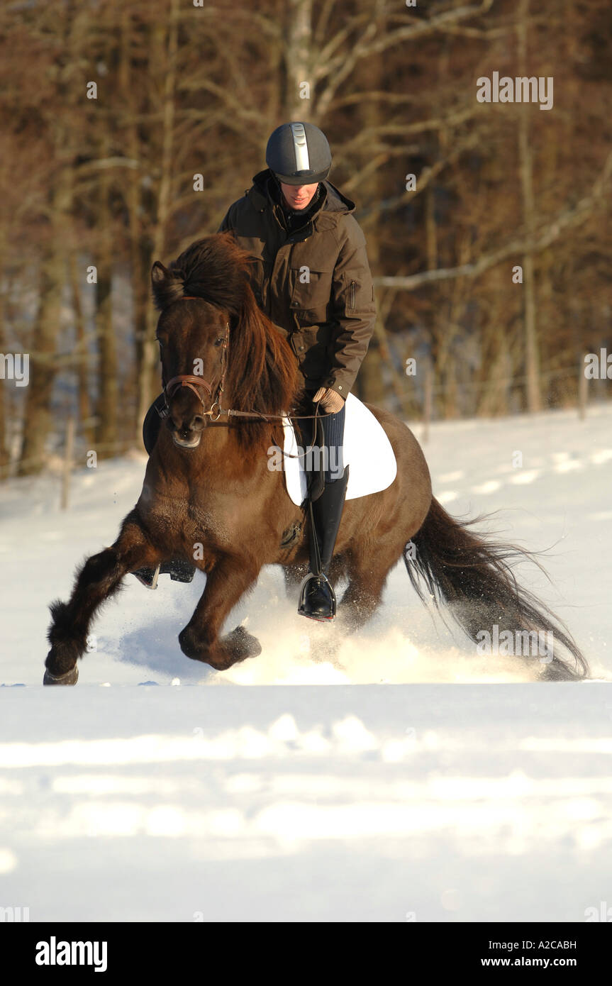 Ragazza a cavallo nella neve in una giornata di sole Foto Stock