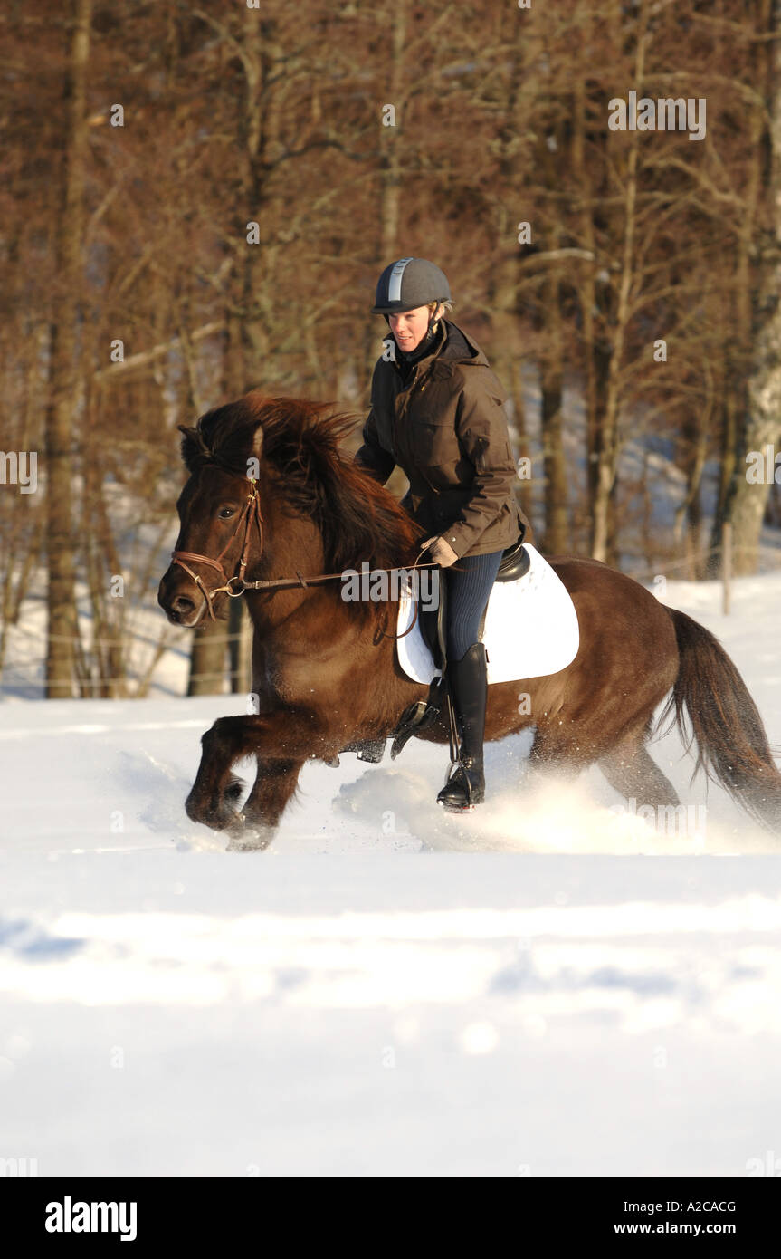 Ragazza a cavallo nella neve in una giornata di sole Foto Stock