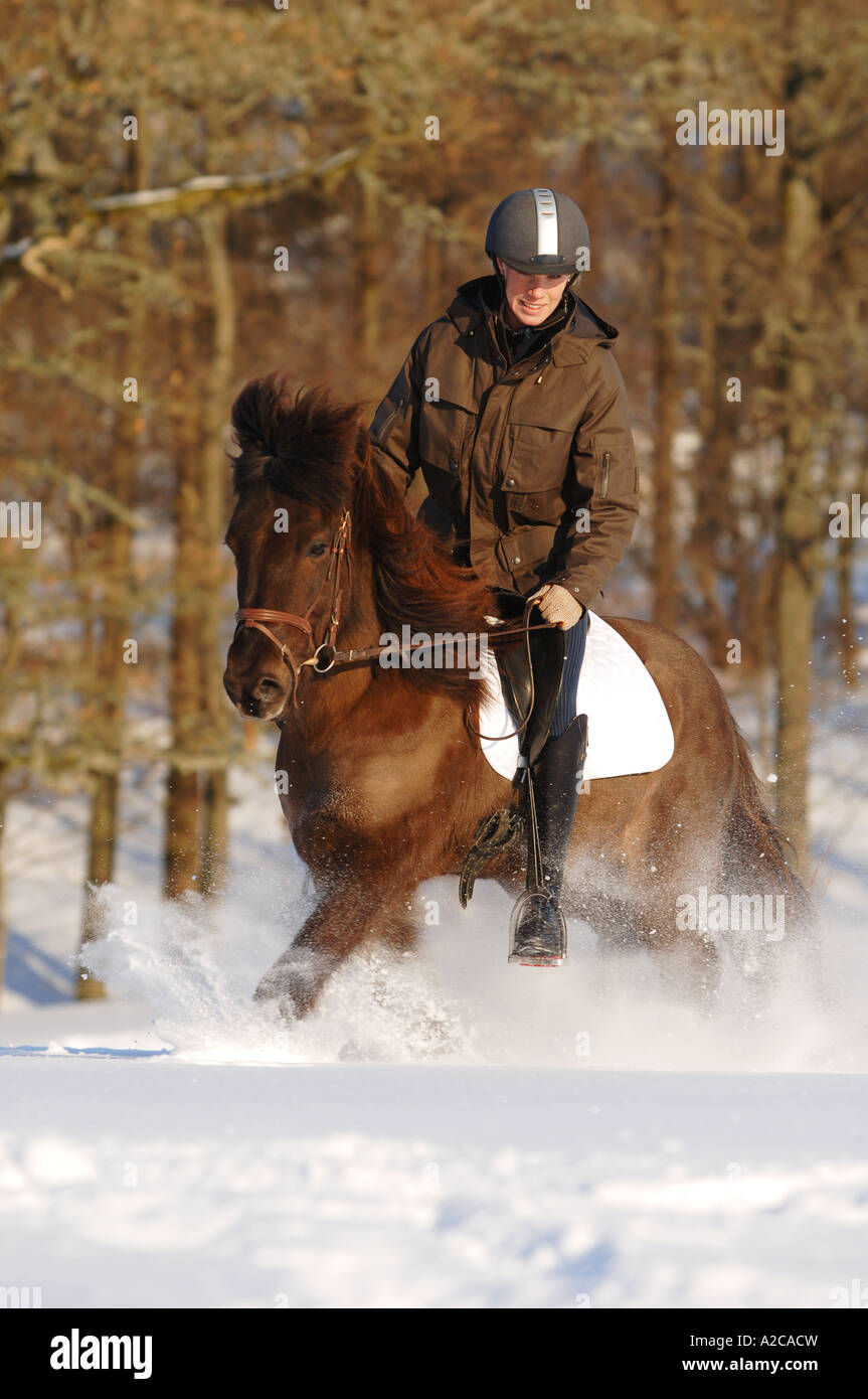 Ragazza a cavallo nella neve in una giornata di sole Foto Stock