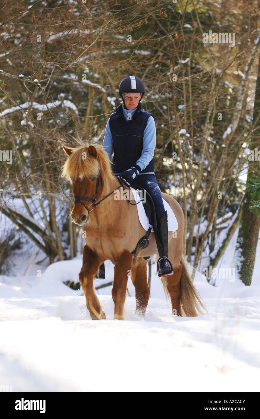 Ragazza a cavallo nella neve in una giornata di sole Foto Stock