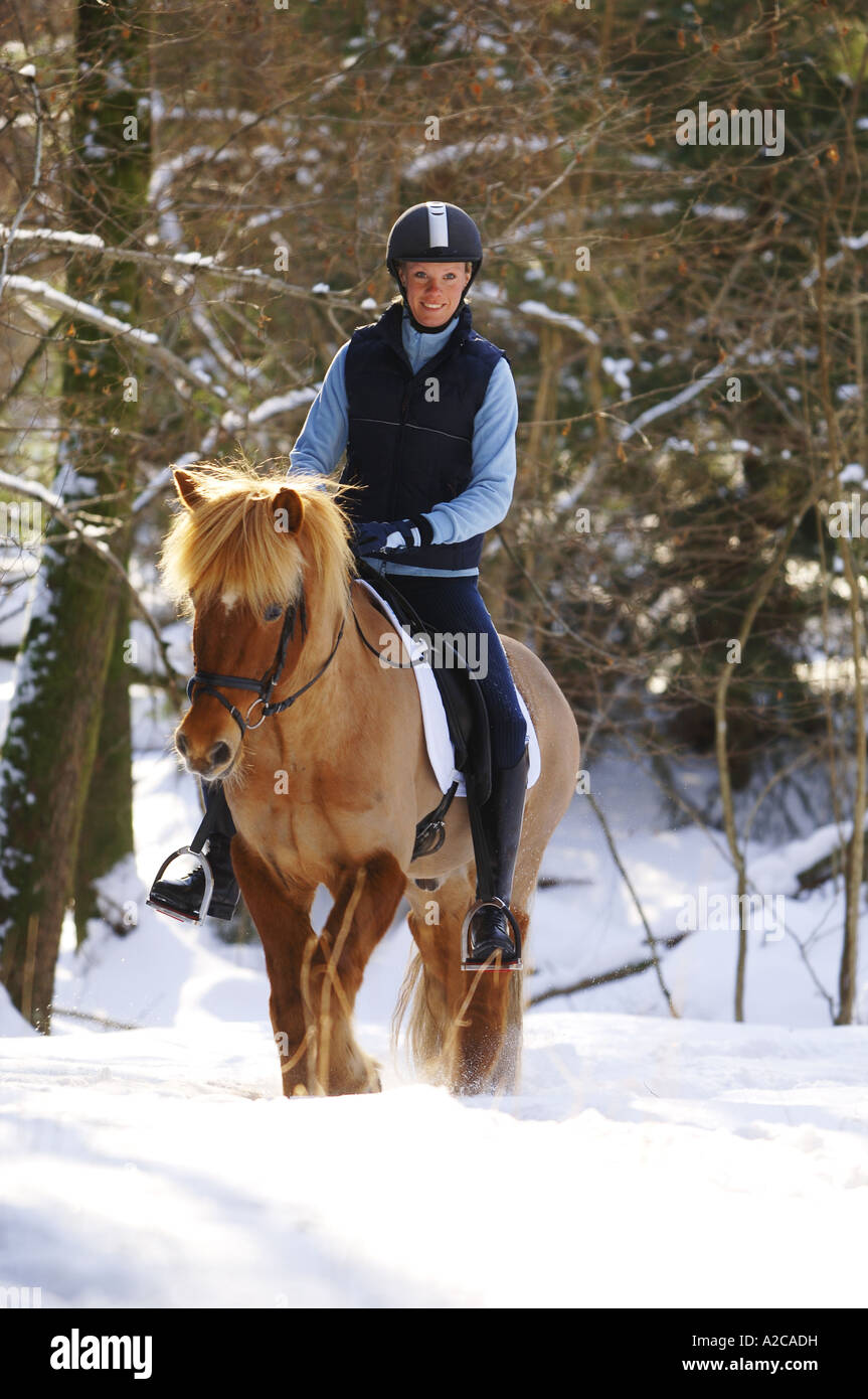 Ragazza a cavallo nella neve in una giornata di sole Foto Stock