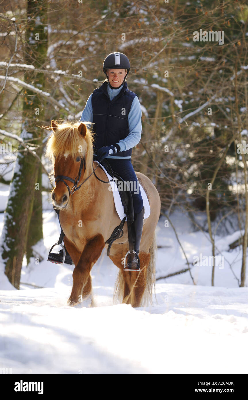 Ragazza a cavallo nella neve in una giornata di sole Foto Stock