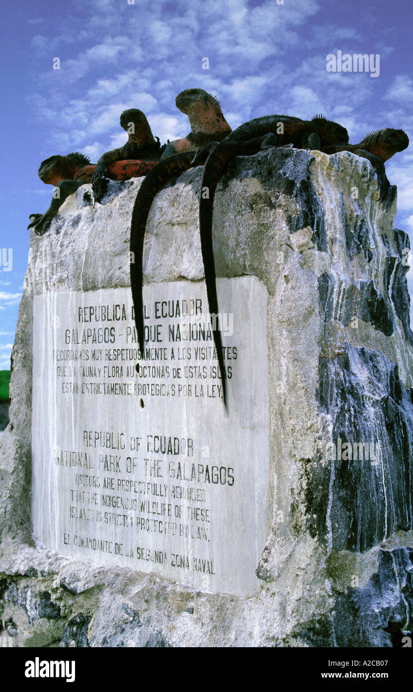 Iguane Marine(Amblyrhynchus cristatus) poggiante su un pilastro commemorative. Isola Hispaniola. Isole Galapagos. Ecuador Foto Stock