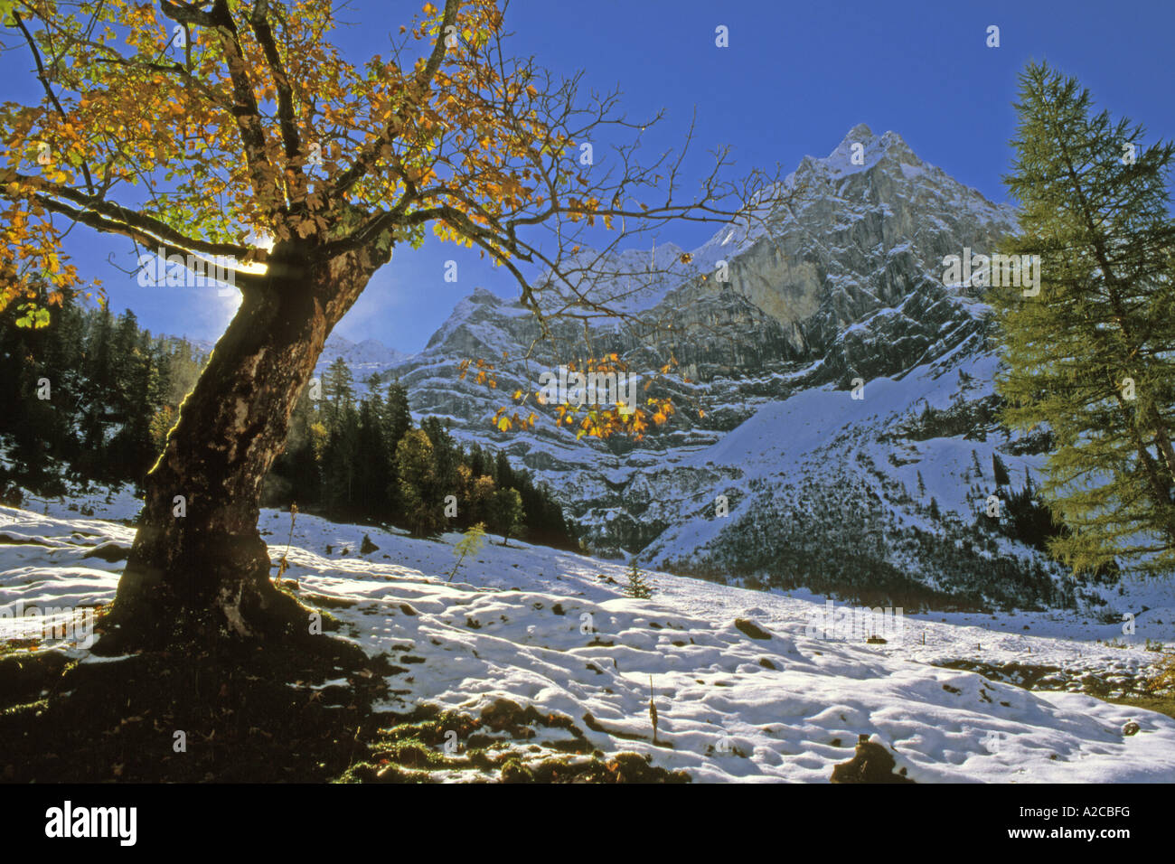 Prima neve in grande Ahornboden in montagne Karwendel Foto Stock
