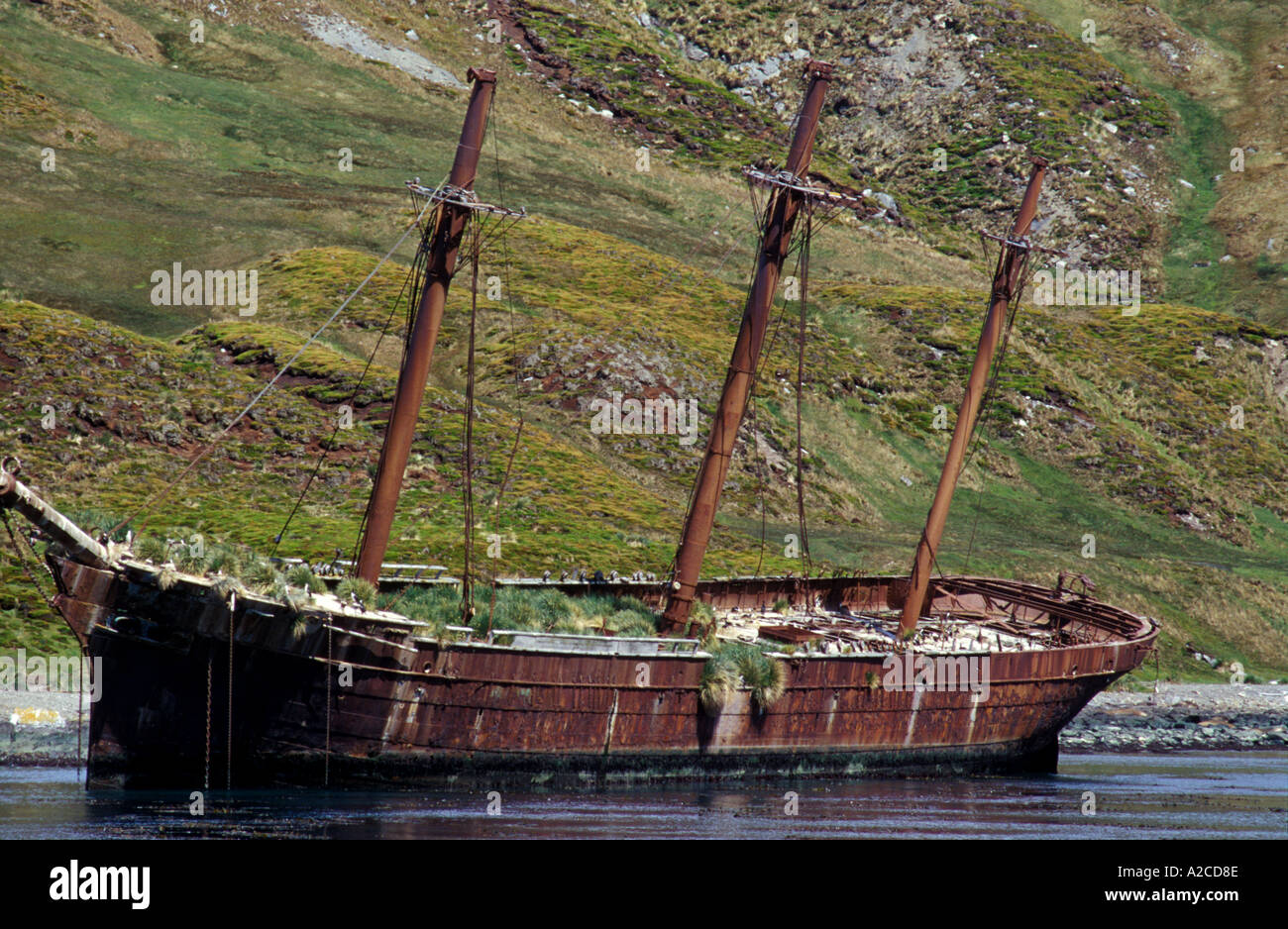 Abbandonate la nave baleniera Georgia del Sud Foto Stock