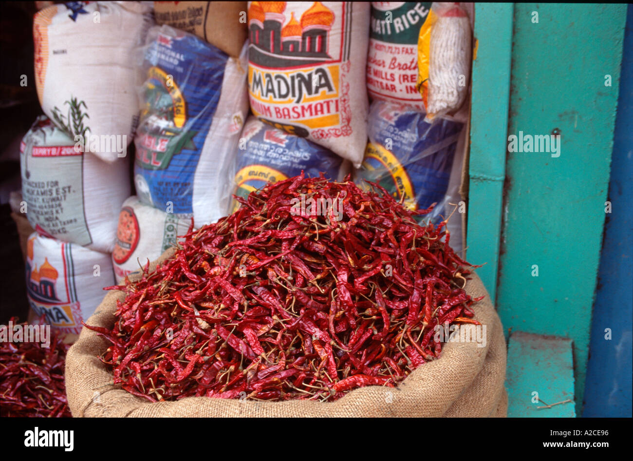 Aprire il sacco di peperoncino rosso nella parte anteriore dei sacchi di riso nella città vecchia di Fort Cochin, Kochi (Cochin), Kerala, India Foto Stock