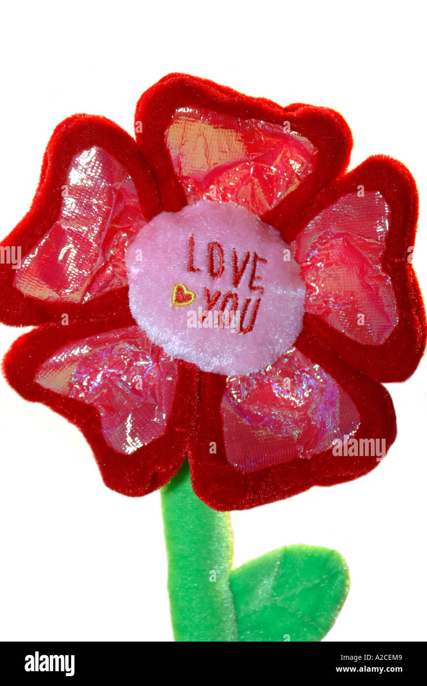 Valentino amore fiore. Foto Stock