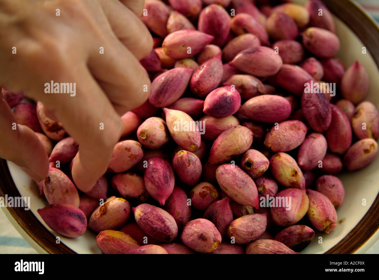 Un conciate di raccolta a mano un pistacchio da una ciotola di rosa fresca  di pistacchi con loro bucce esterno su Foto stock - Alamy